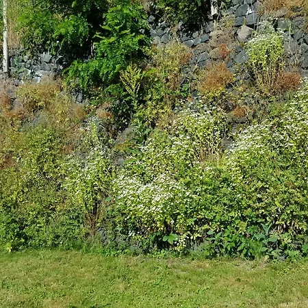 Relais Des Castors 3*