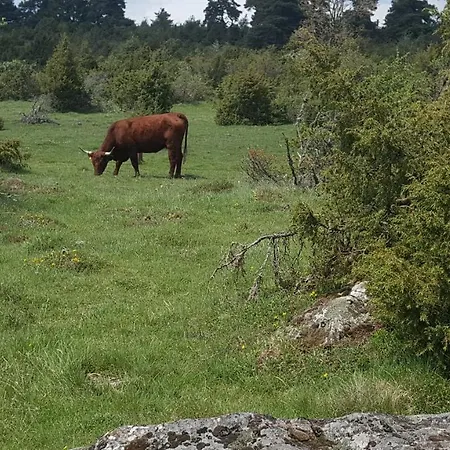 Relais Des Castors Couette-café